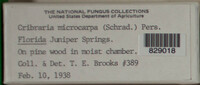 Image Associated With the Occurence